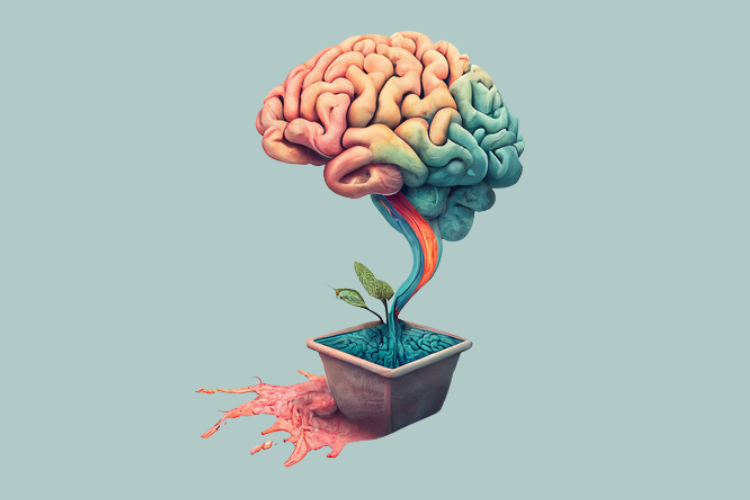 Ketamine Assisted Psychotherapy